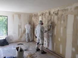 Why You Should Choose Our Mold Remediation Services in Youngstown, OH